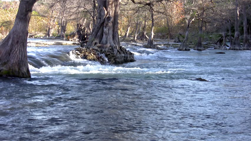 Video of a south Texas river with a waterfall and lined with Cypress trees. Beautiful scenery. 