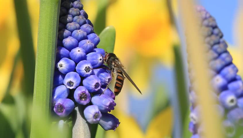 Springtime