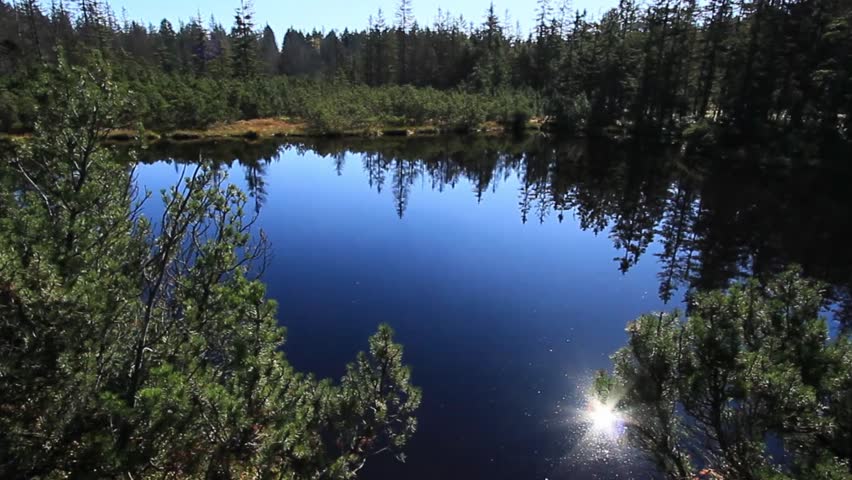 Bog, lake, aerial, water, pond, back light, nature, Bavarian Forest, Bavaria, bird's-eye view