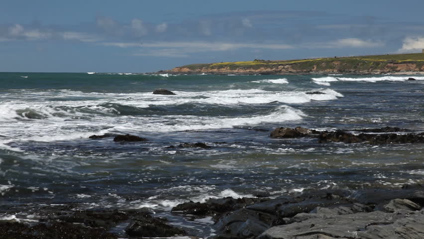 Pacific ocean coast near Pigeon Point Lighthouse.
