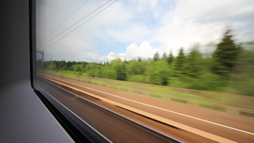 View of the wood and environment from a window of quickly going train