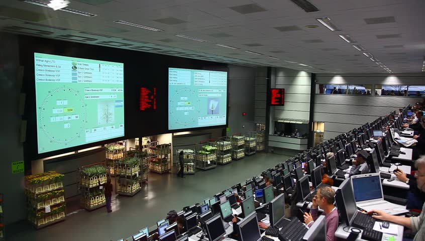AALSMEER, THE NETHERLANDS-APRIL 27: Auction Room of FloraHolland, April 27, 2011, Aalsmeer, The Netherlands. Aalsmeer Flower Auction is the largest flower auction in the world; Around 20 million flowers are sold in FloraHolland Aalsmeer every auction day