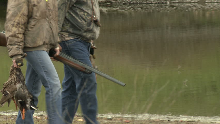 A pair of duck hunters carry their catch and shotguns.