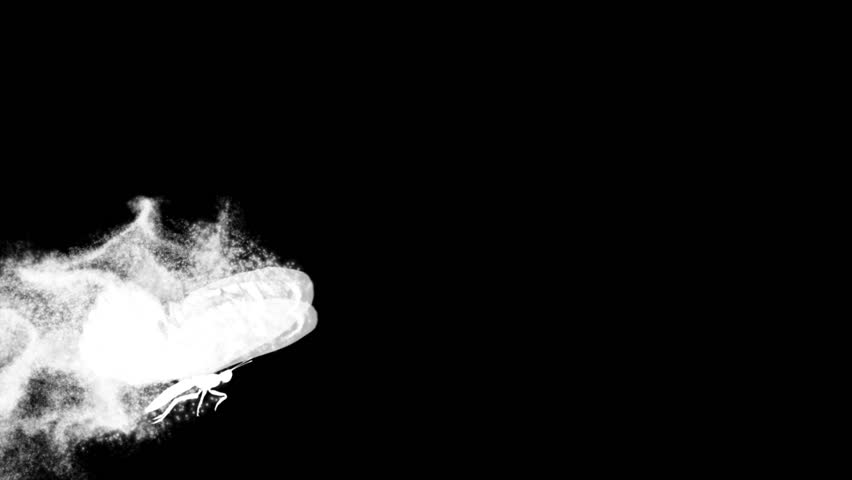 flying butterfly with decorative ornament 
