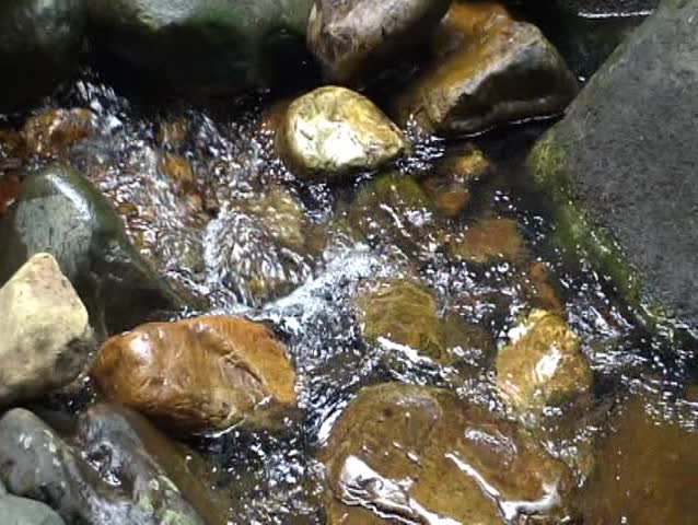 Stream