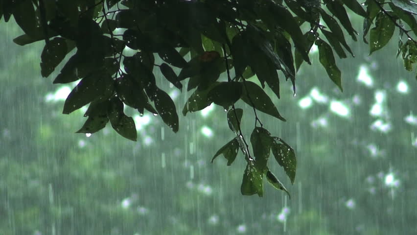 Falling Rain