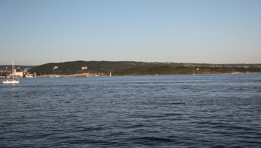 Sailing in fjord Full HD