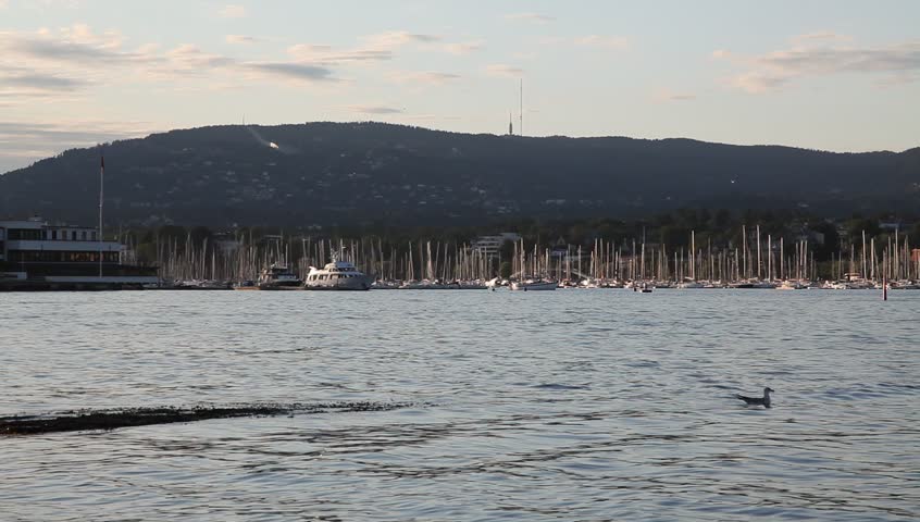 Oslo marine - view from sea Full HD