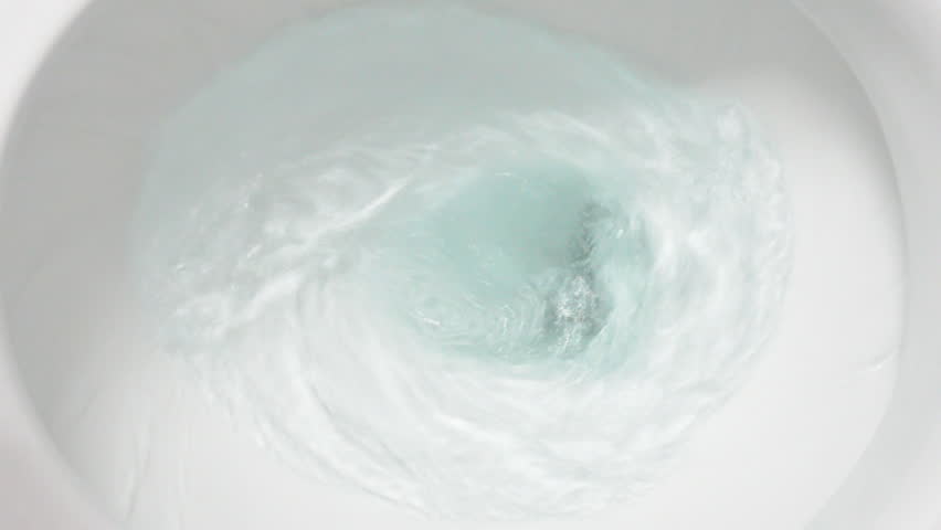 flush the toilet