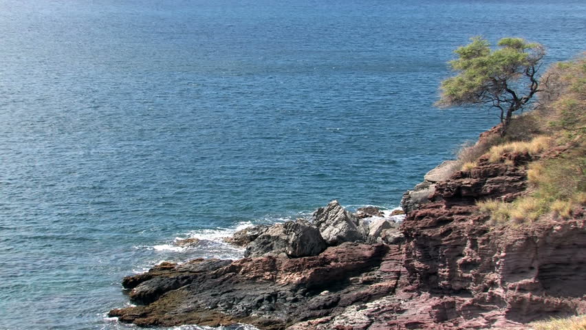 Rocky desolate shoreline on the island of Maui in Hawaii.  Beautiful water with cliffs  overlooking water. Waves splashing on rocks, scenic, relaxing and calm. Lone tree on point.