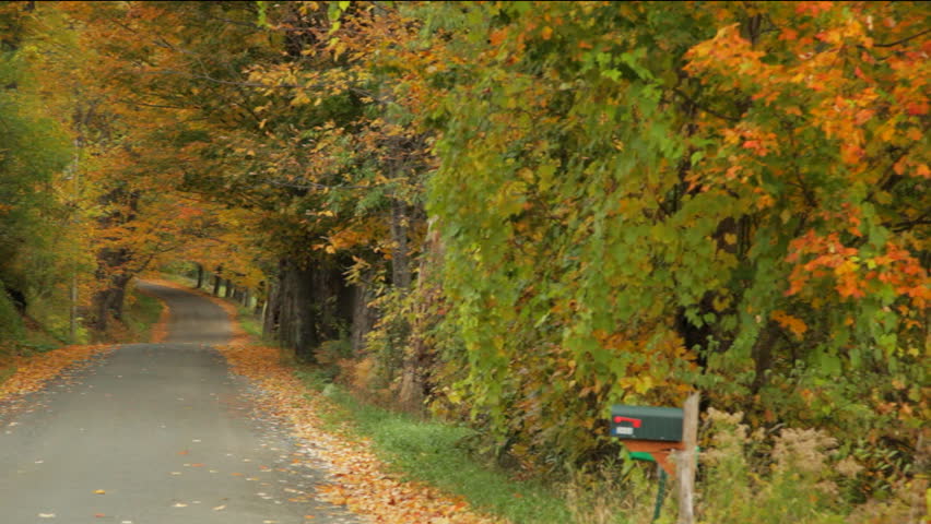 Pan begins with a gravel, rural road in Vermont lined with fallen Autumn foliage, and ends with a farm set against a hillside covered with trees showing displays of fall colors.