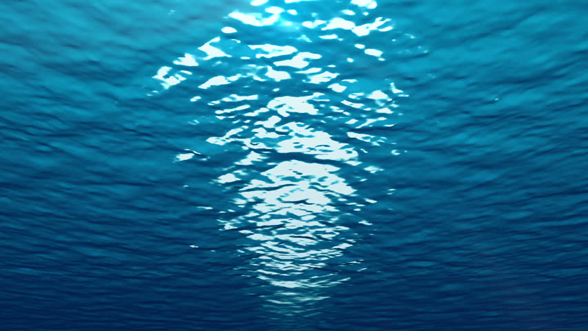 Underwater marine world with reflective blue water waves ocean sunshine. 