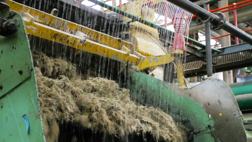 Sugar cane pulp being mulched after the juice extraction
