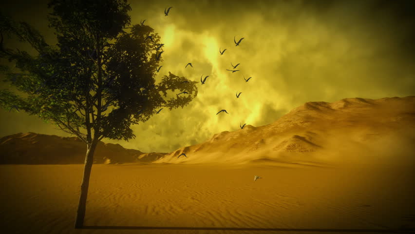 Scene of destruction