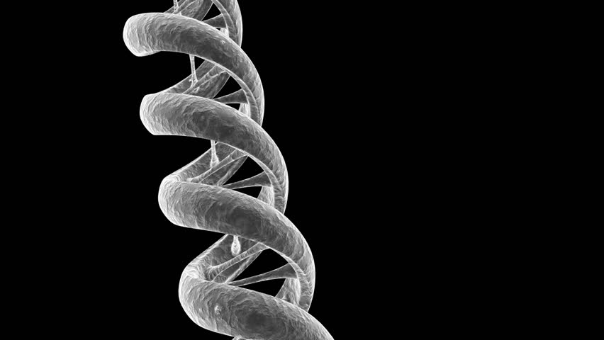 Animated gray textured DNA strand.