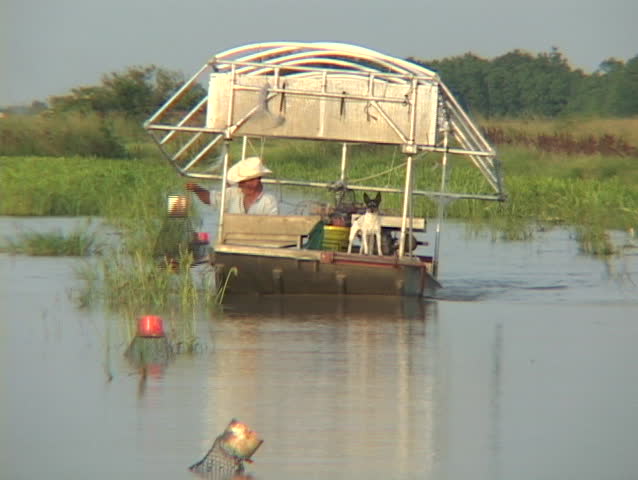 LOUISIANA - CIRCA 2005: A fisherman on a boat rides through swampland checking his crayfish traps circa 2005 in Louisiana.