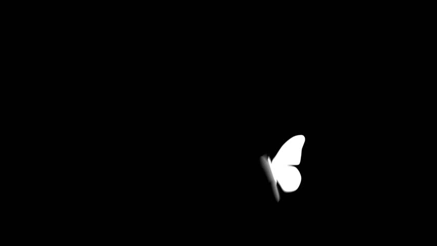 Butterfly flying and landing. Includes Alpha channel.