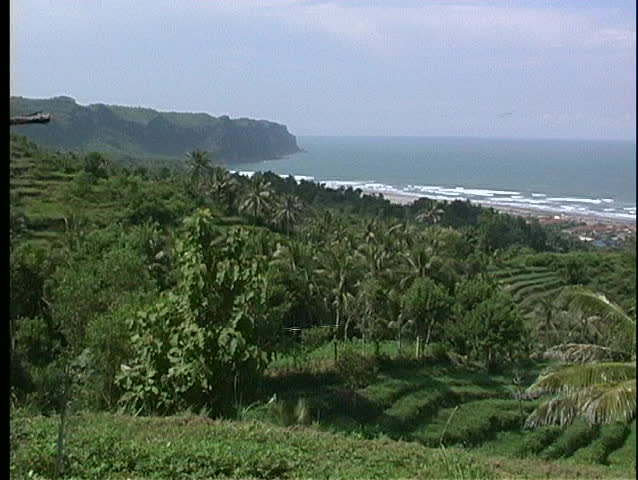 A medium-shot of a terraced hillside and rice paddies along a coastal shore.