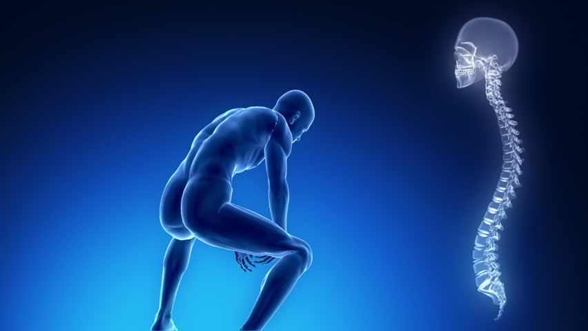 Pain in backbone concept