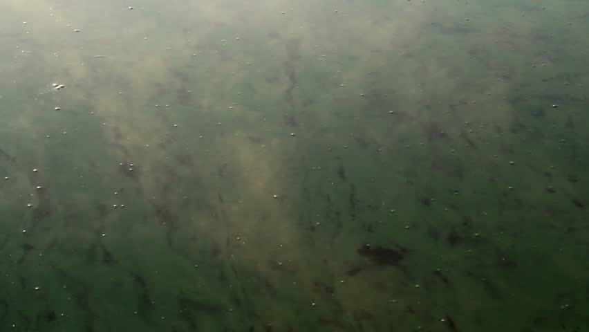 Smoke on the water