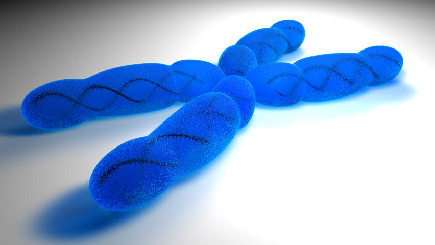 Chromosome X 3D animation. Rendered in HD.