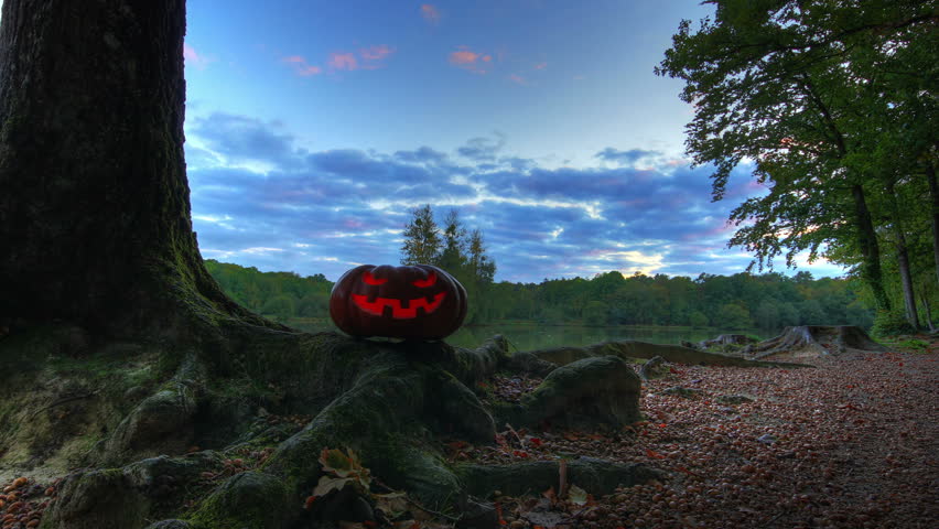 Halloween pumpkin and trees in sunset, HD motion controlled time lapse, high dynamic range imaging.
