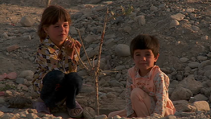 KABUL, AFGHANISTAN - CIRCA 2009: Children play with a dying tree on a hillside circa 2009 in Kabul, Afghanistan. Afghanistan is an impoverished and least developed country, one of the world's poorest.
