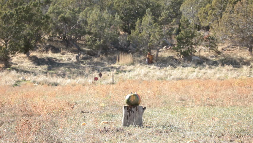 Pumpkin violently explodes after being struck by a high power muzzleloader black powder rifle. Complete vaporization in a cloud of parts. Halloween or harvest subject.