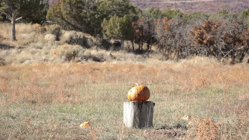 Pumpkin violently explodes after being struck by a high power rifle slow motion. Complete vaporization in a cloud of parts. Halloween or harvest subject.