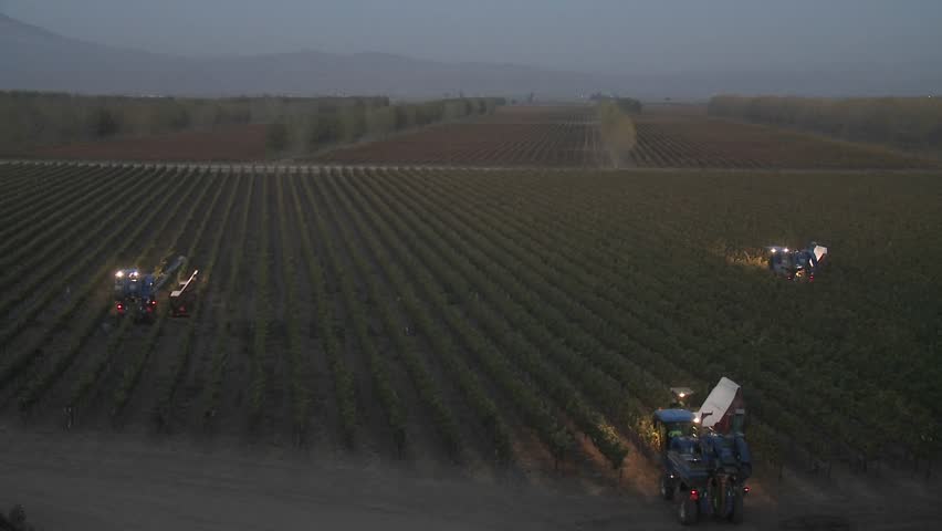 Time lapse of automated night picking in a vineyard in the Salinas Valley, Monterey County, California.