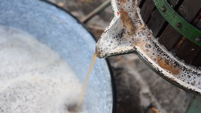 wine making