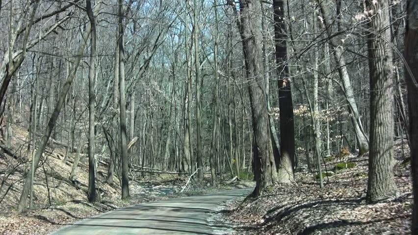 View from a vehicle of a winding road and trees in a rural area