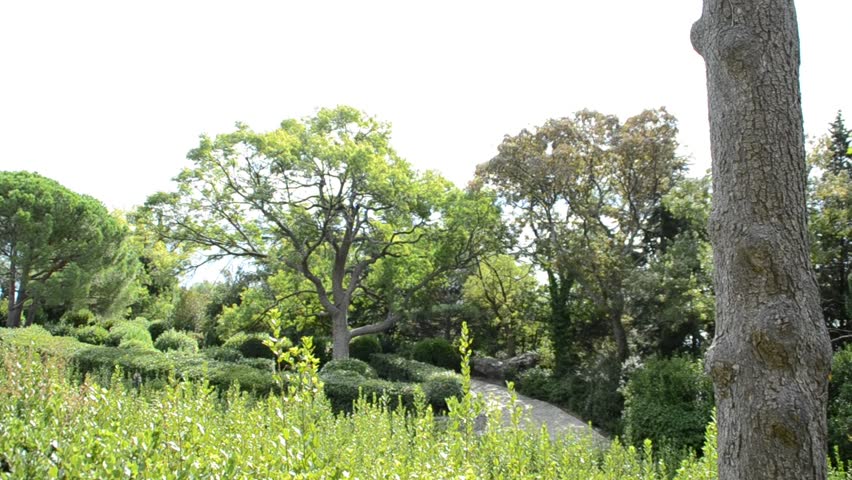 Park