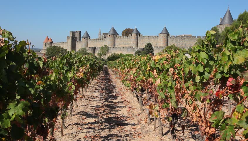 View of the old town Carcassonne from the vineyard. Southern France