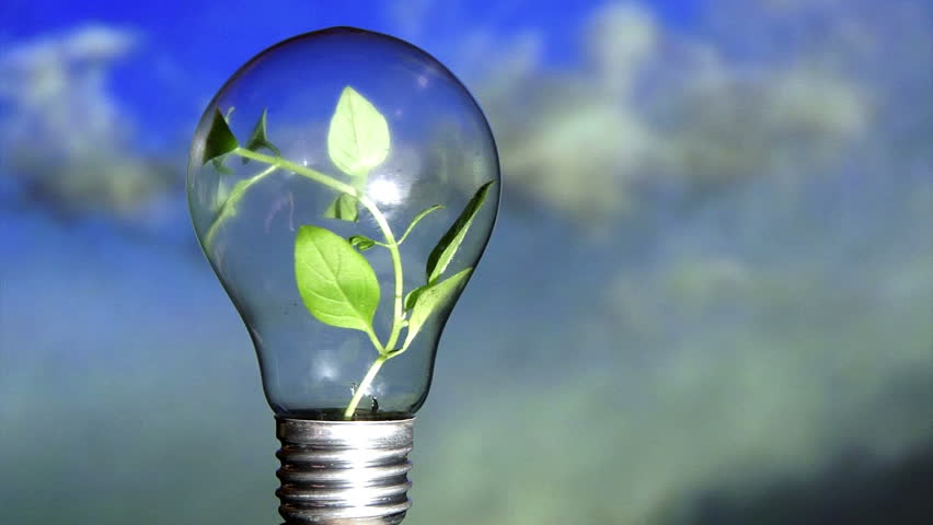 Plant in light bulb, rotate. Blue sky in background. Ecology concept.