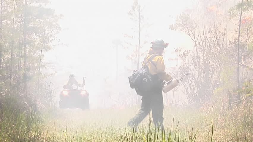 Firefighters conduct a prescribed fire circa 2009 in the Everglades.