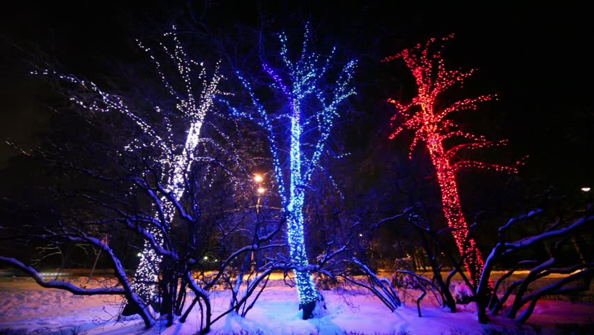 Three trees are decorated with garlands at night