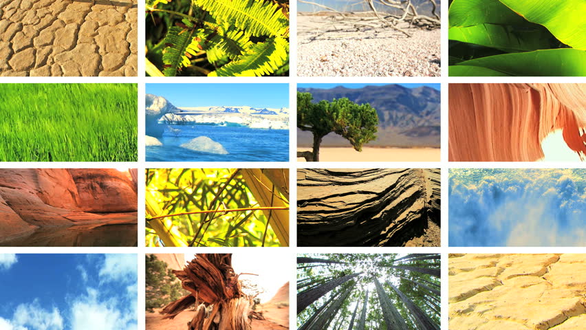 Montage Images of Tropical Vegetation & Barren Environments
