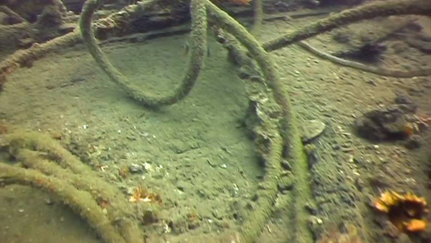 close up of a shipwreck in detail 