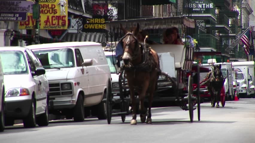LOUISIANA - CIRCA JUNE 2010: Mule buggies follow each other down a crowded street in New Orleans circa June 2010