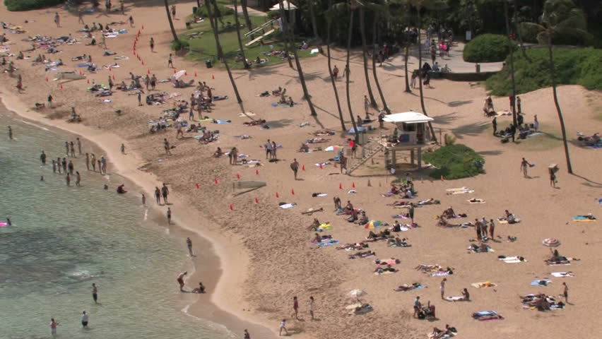 Tropical Hanauma Bay beach on Oahu, Hawaii. Islands off shore in Pacific ocean. Waves on sand with tree limbs overhead. Scenic, relaxing, calm seascape.