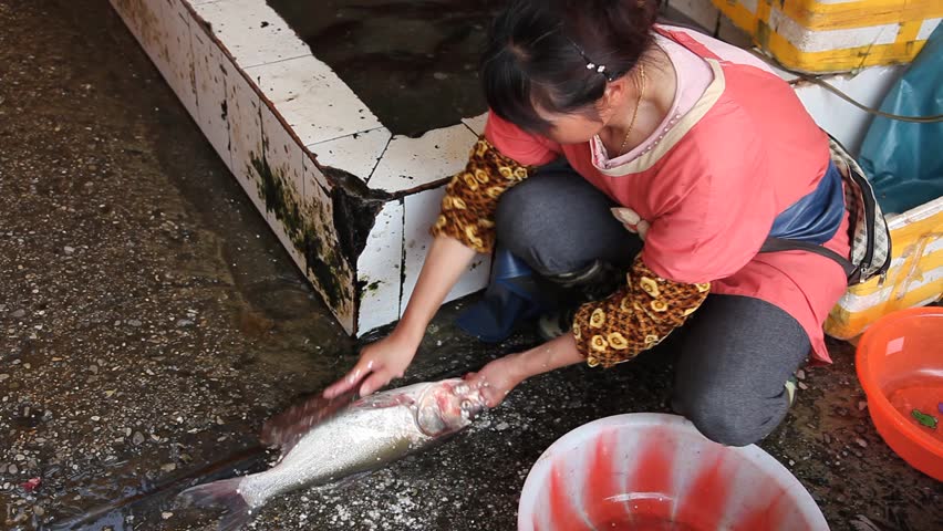 LIJIANG, CHINA - AUG 7, 2009: Woman scrubs salt off a fish at a market on August 7, 2009 in Lijiang.