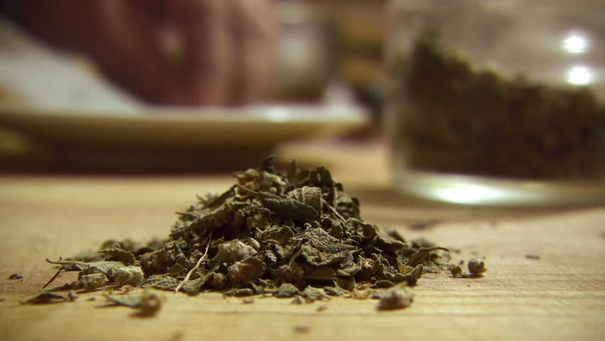 Oregano