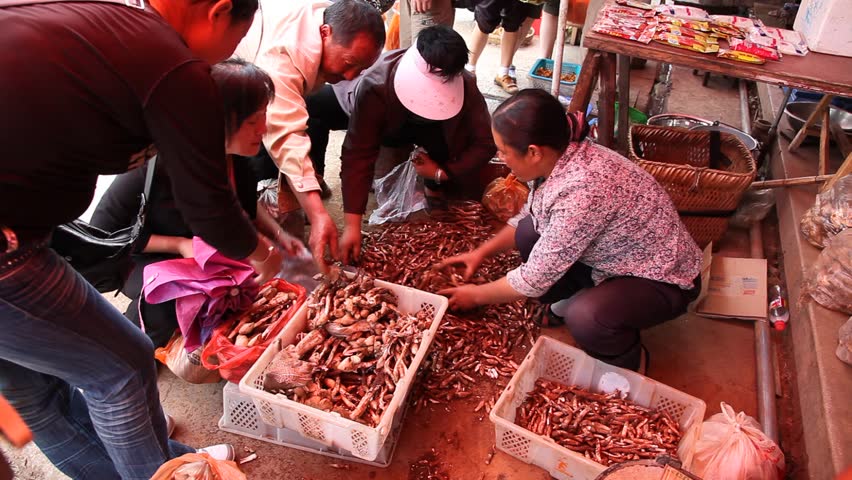 KANGDING, CHINA - AUG 7, 2009: Vendors sort out mushrooms at a market on August 7, 2009 in Kangding.