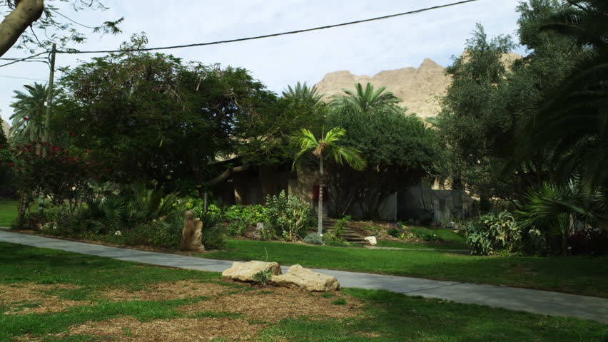 Still shot of a residence with trees, grass, flowers, shrubs, light pole, walkway and telephone poles, at the Kibbutz in Ein Geti Israel. 