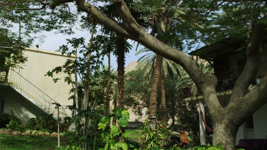 Moving shot right to left of a residences with trees, grass, flowers, shrubs, light pole and telephone poles, at the Kibbutz in Ein Geti Israel. 
