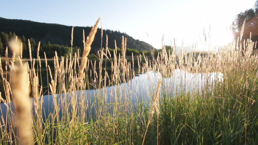Dolly slider shot of a pond surrounded by hay during sunrise on a ranch in Montana