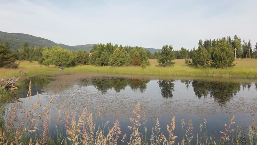 Dolly slider shot of a pond on a ranch surrounded by pine trees mountains and hay grass fields. Shot in Montana during summer