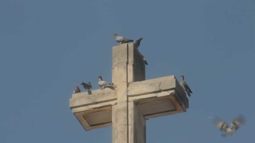 Some pigeons perch on top of a cross