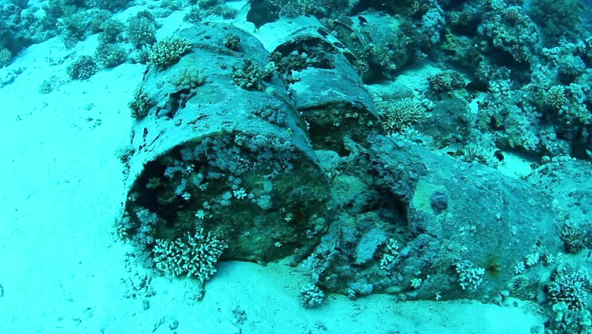 Barrels of oil after shipwreck, reef Tiran, Red Sea, Egypt.